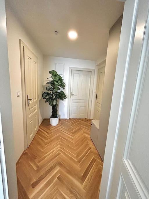 Newapt Next To Wenceslas Square Prague