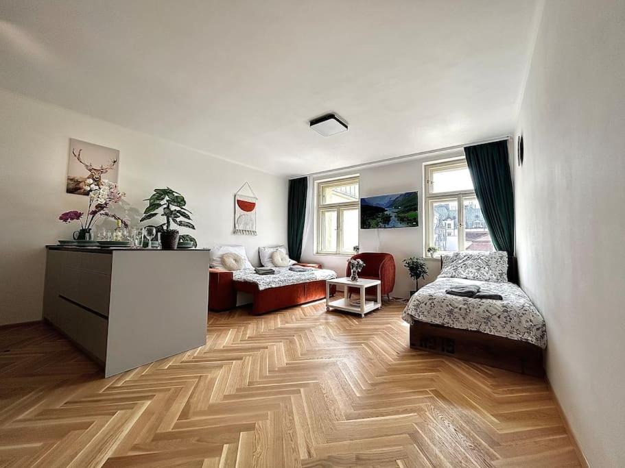 Apartment Newapt Next To Wenceslas Square *