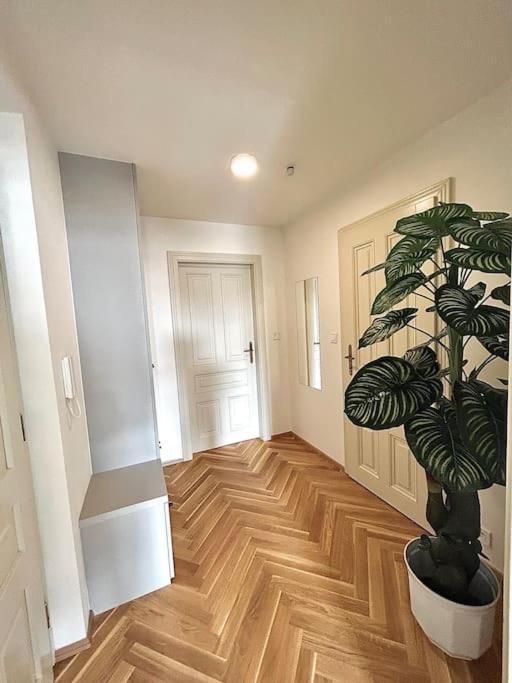 Newapt Next To Wenceslas Square * Prague