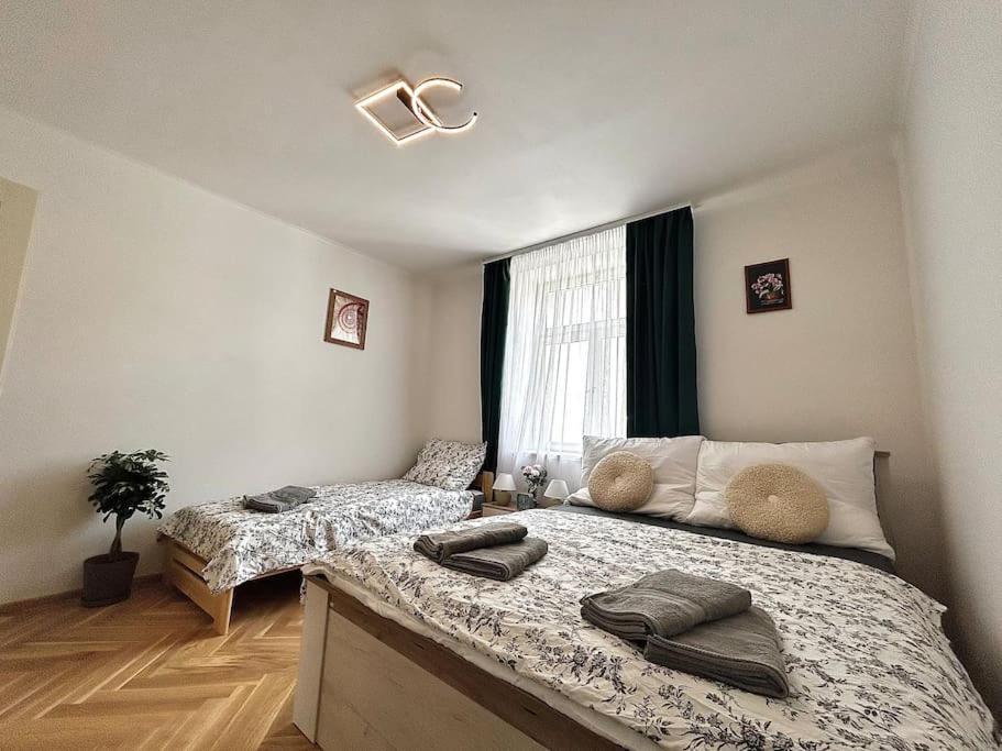 Newapt Next To Wenceslas Square Apartment *