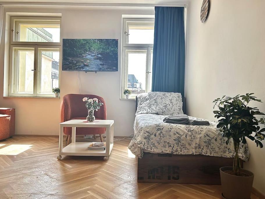 Apartment Newapt Next To Wenceslas Square *