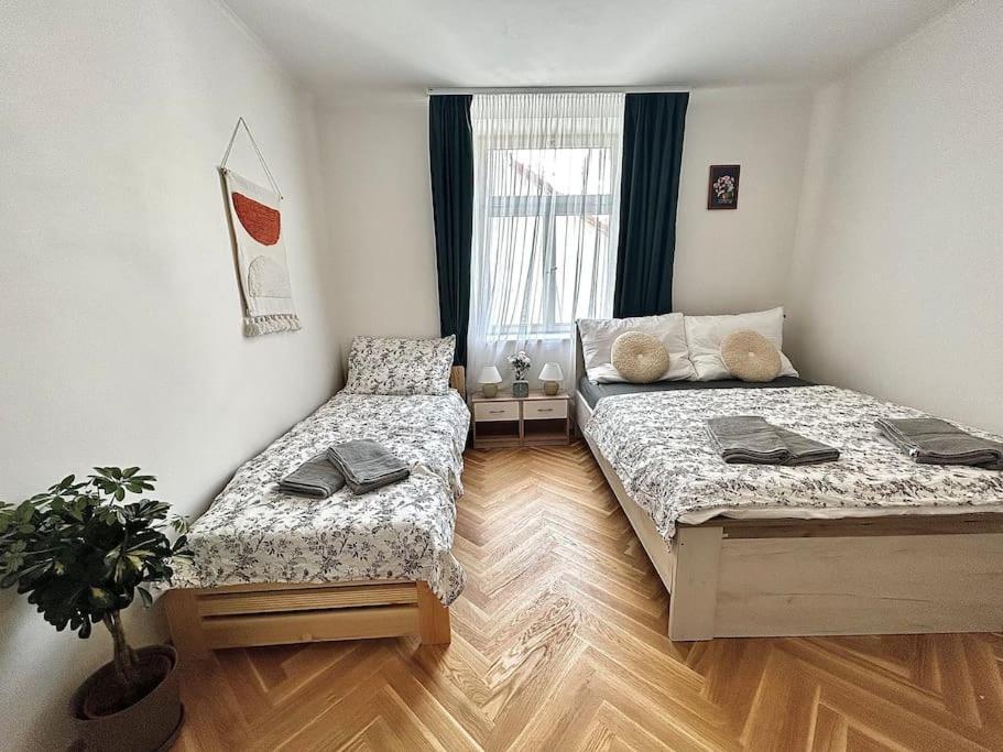 Apartment Newapt Next To Wenceslas Square *